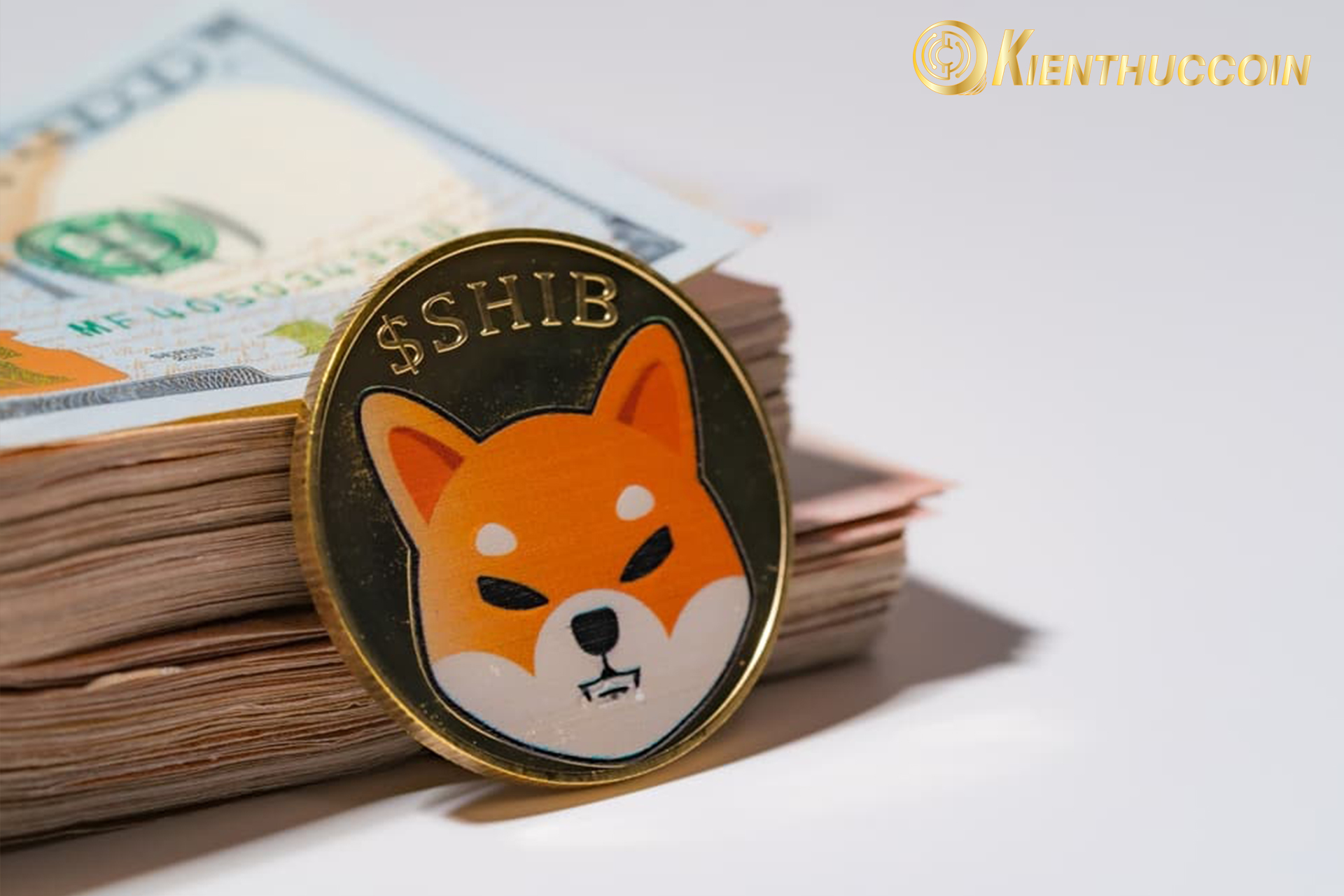 What is Shiba Inu coin? Overview of cryptocurrency SHIB
