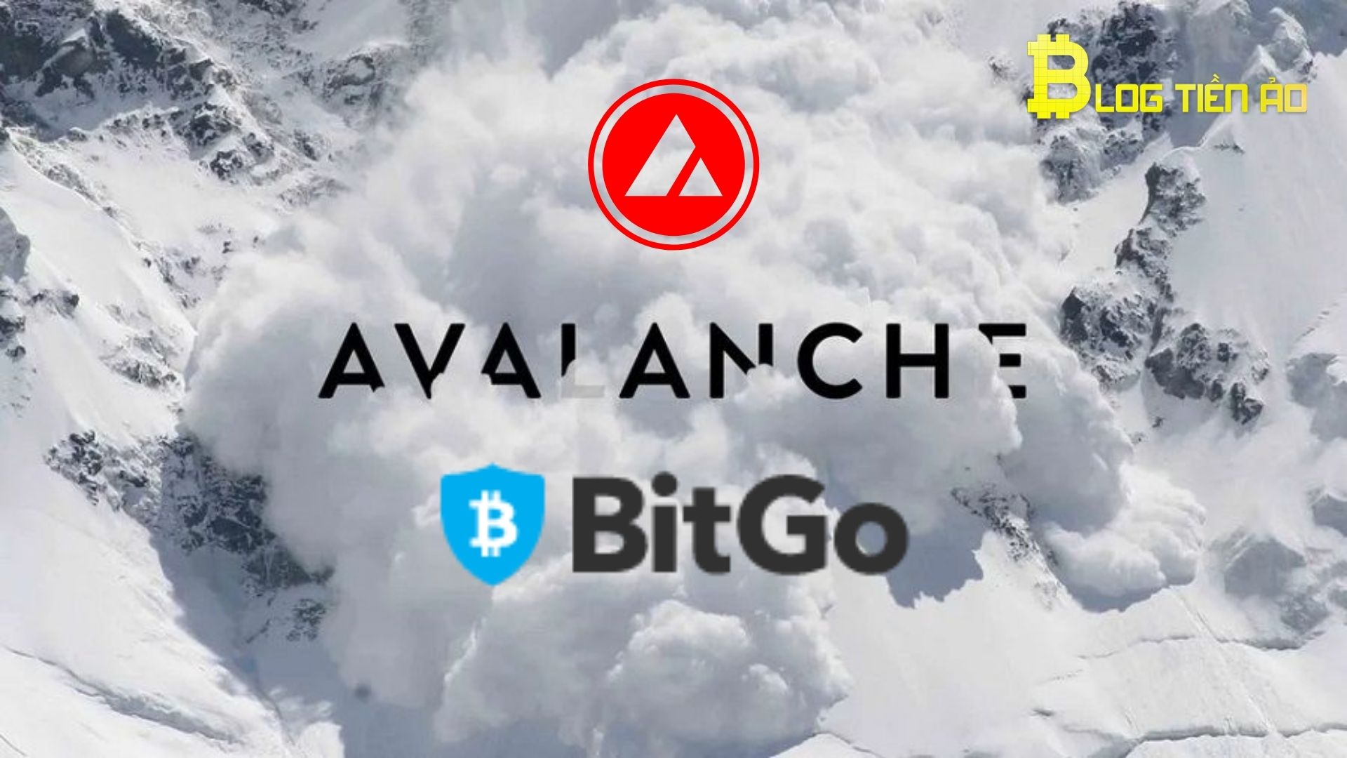 BitGo hỗ trợ Avalanche (AVAX) khi sự quan tâm của các tổ chức tăng lên