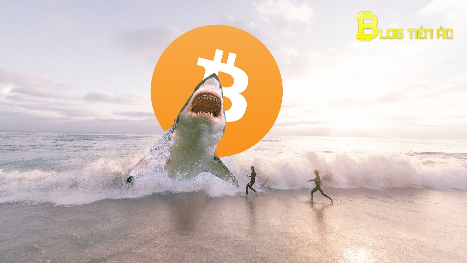 shark-bitcoin